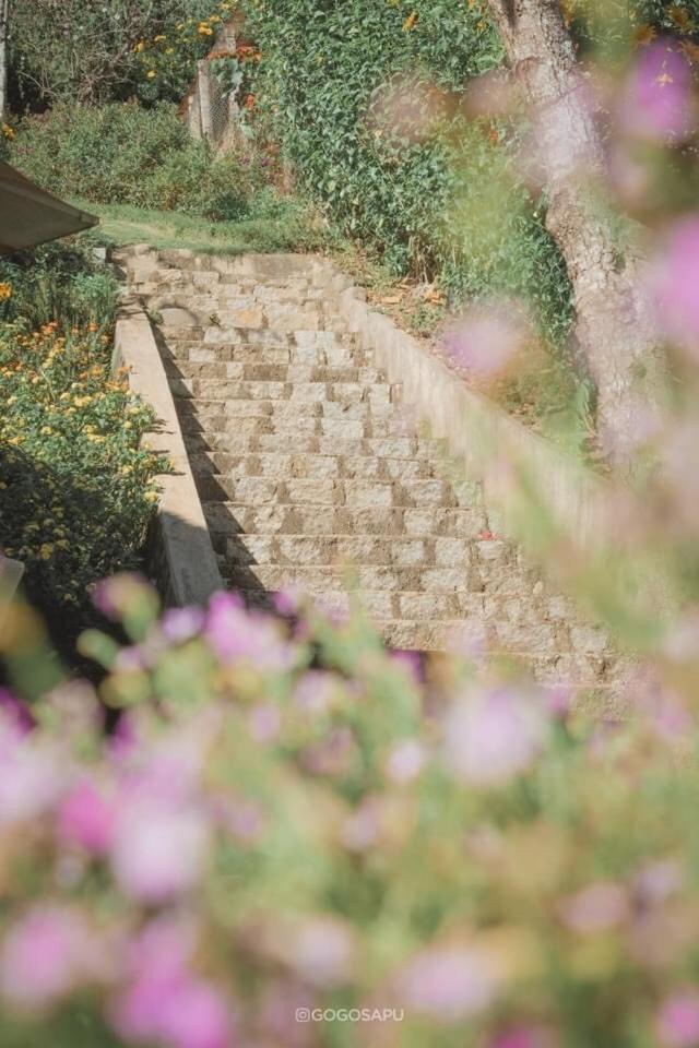 Biet Thu Trang Da Lat Villa Buitenkant foto