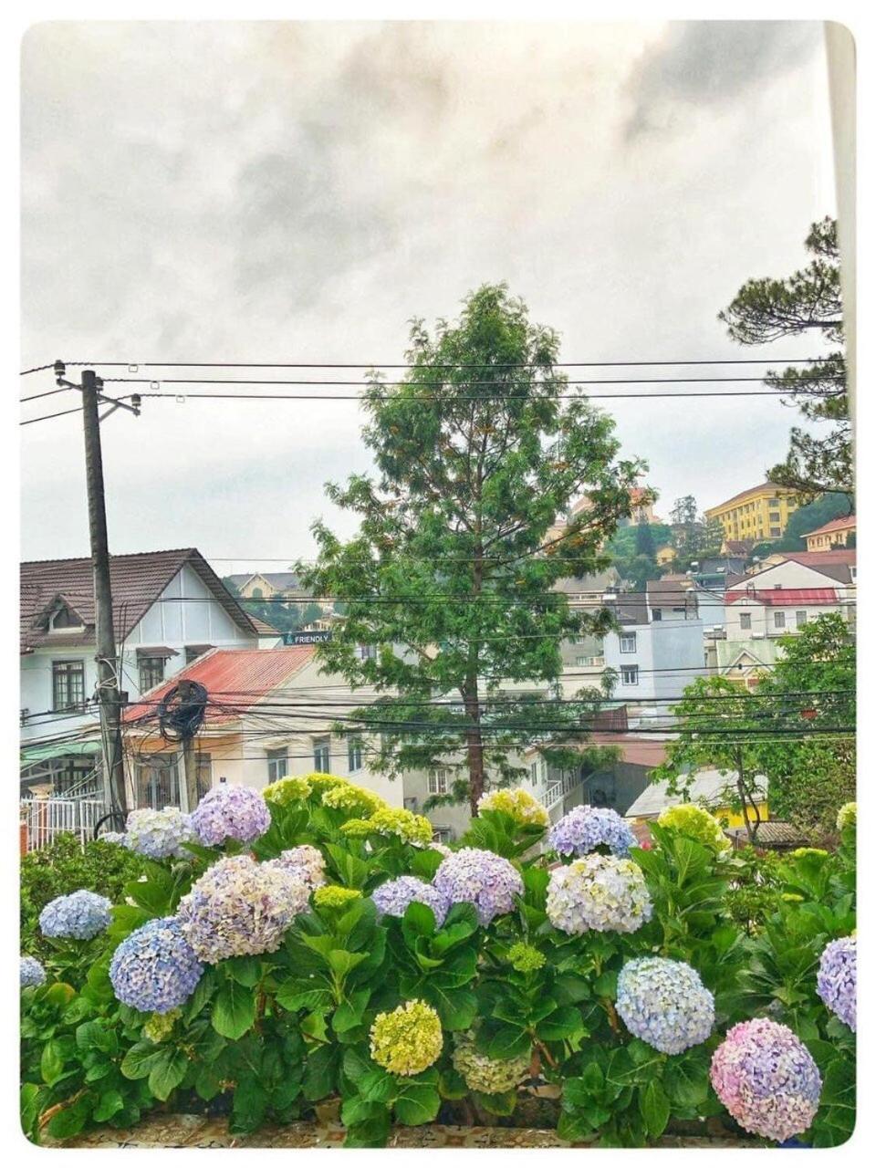 Biet Thu Trang Da Lat Villa Buitenkant foto